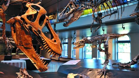 dinosaur museum america|Virtual Tour of Dino Hall .